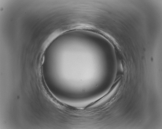 X0000080121375200612081241