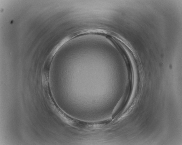 X0000080121377200612081241