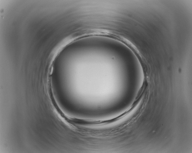 X0000080121379200612081241