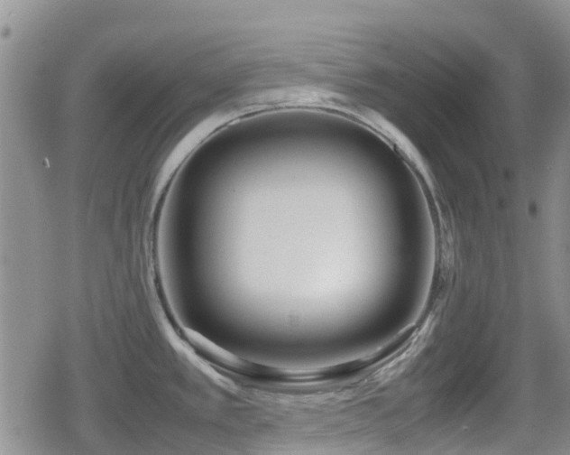 X0000080121389200612081241