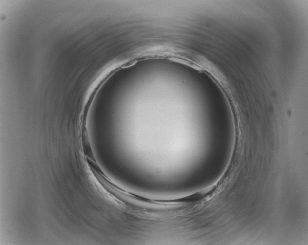X0000080121392200612081241