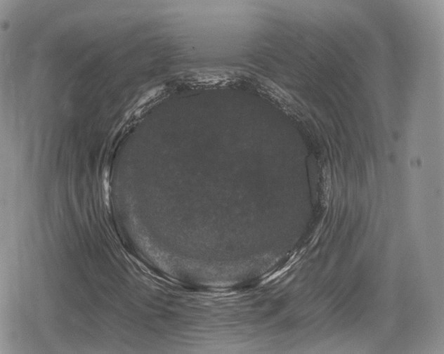 X0000080121394200612081240