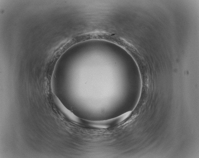 X0000080121398200612081240