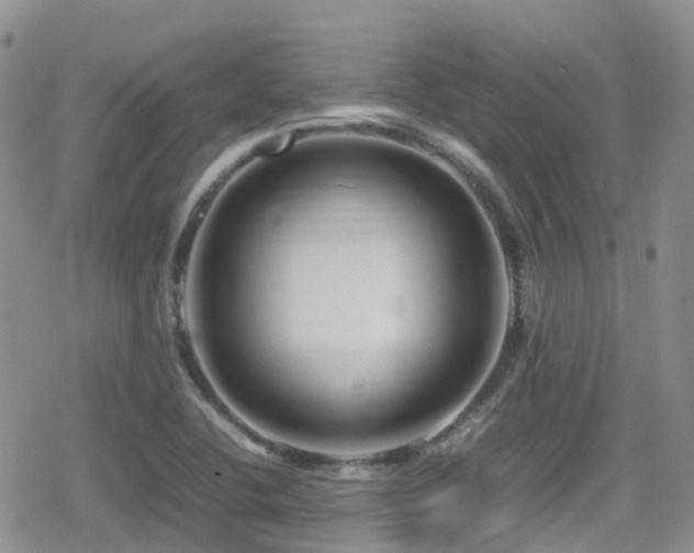 X0000080121412200612081240