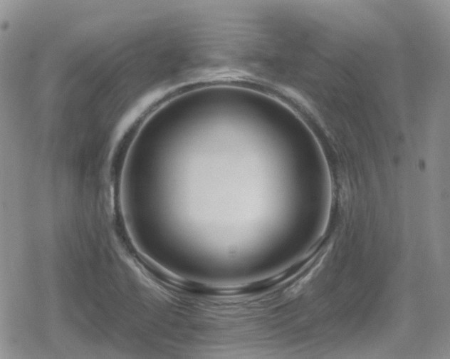 X0000080121414200612081240