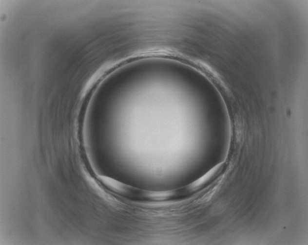 X0000080121422200612081241