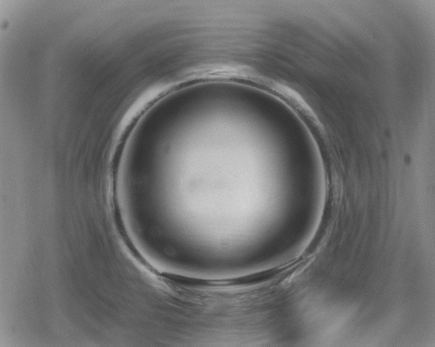 X0000080121424200612081241