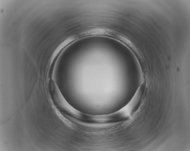 X0000080121426200612081241