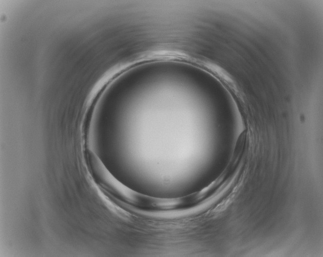 X0000080121430200612081241