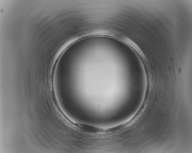 X0000080121436200612081241