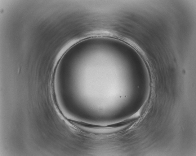 X0000080121440200612081241