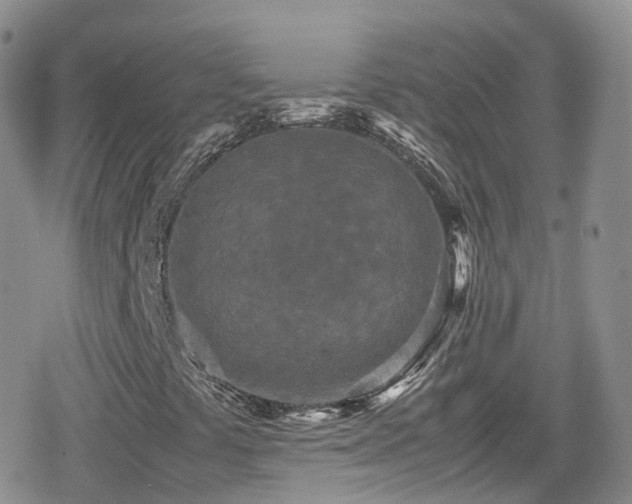 X0000080121441200612081240