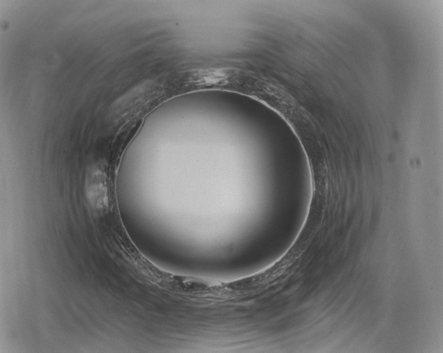 X0000080121442200612081240