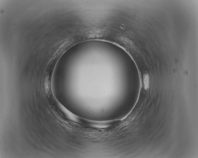 X0000080121444200612081240