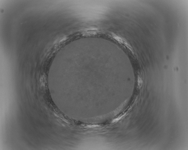 X0000080121445200612081240