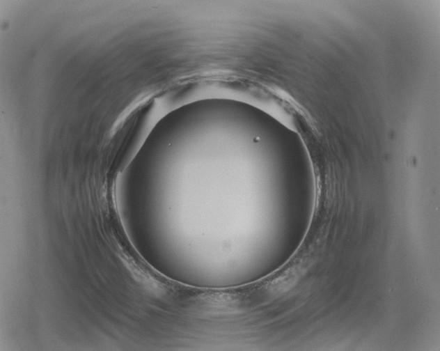 X0000080121450200612081240