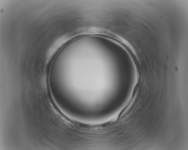 X0000080121464200612081240