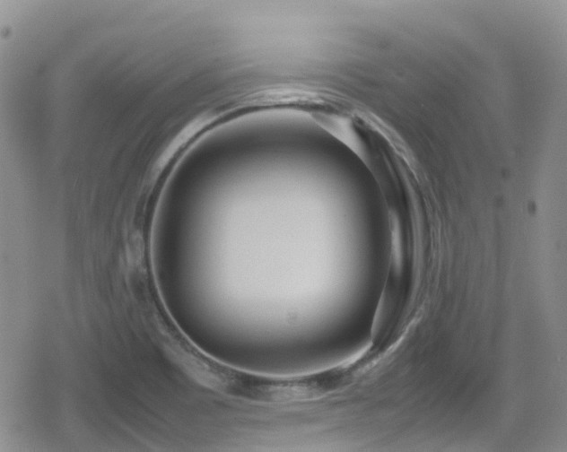 X0000080121465200612081240