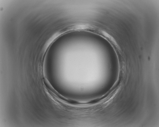X0000080121473200612081240