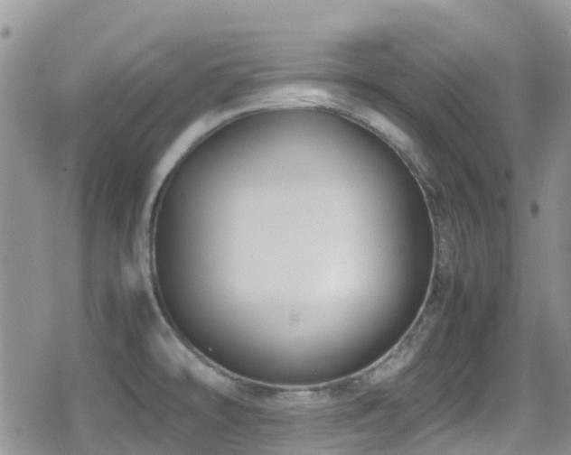 X0000080121478200612081240