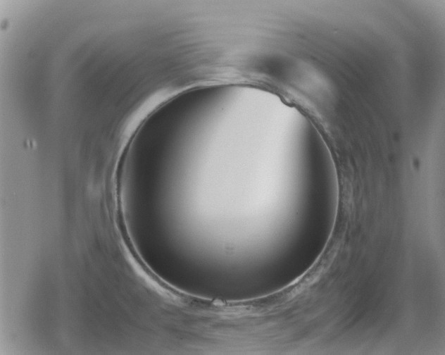 X0000080121479200612081239