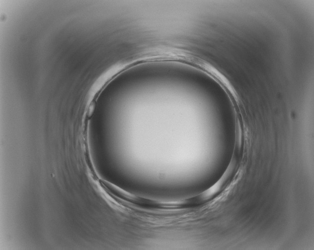 X0000080121485200612081239