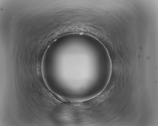 X0000080121490200612081239