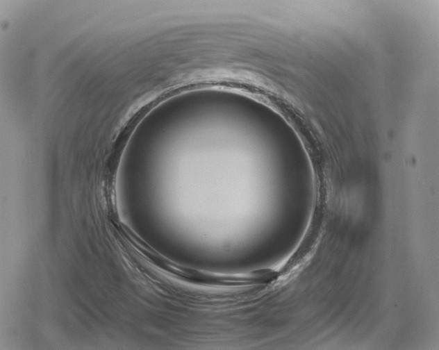 X0000080121497200612081239