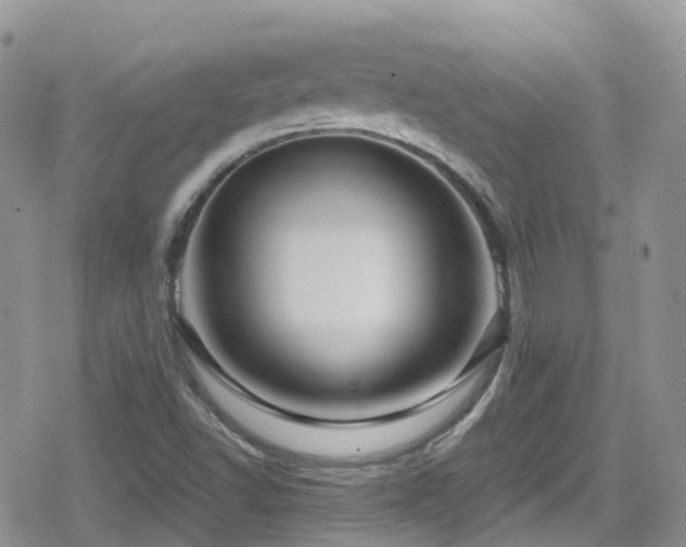 X0000080121502200612081239