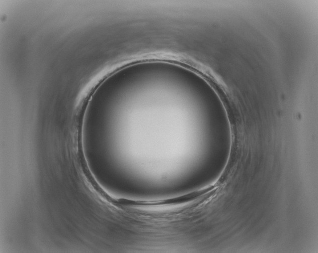 X0000080121504200612081239