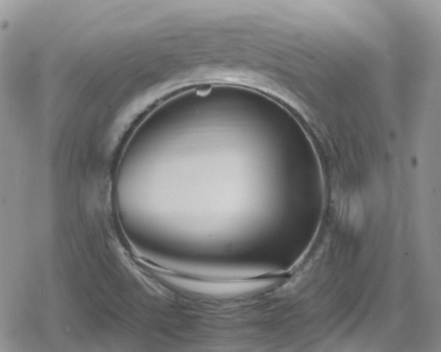 X0000080121507200612081239