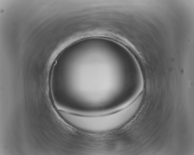 X0000080121512200612081239