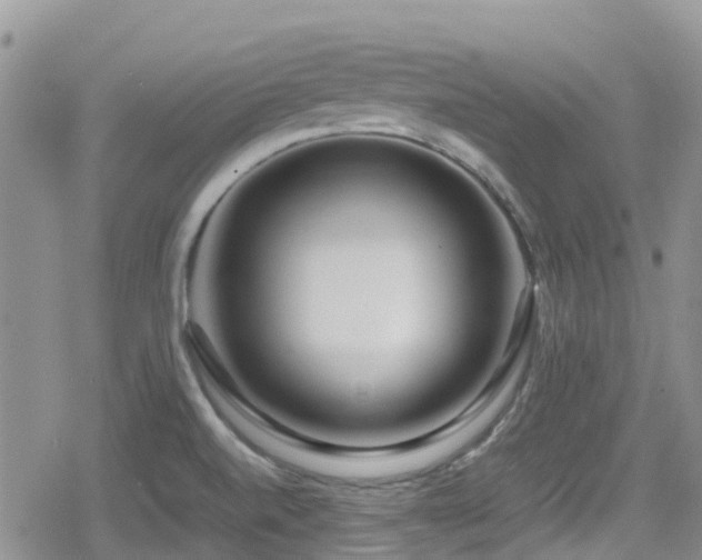 X0000080121520200612081239
