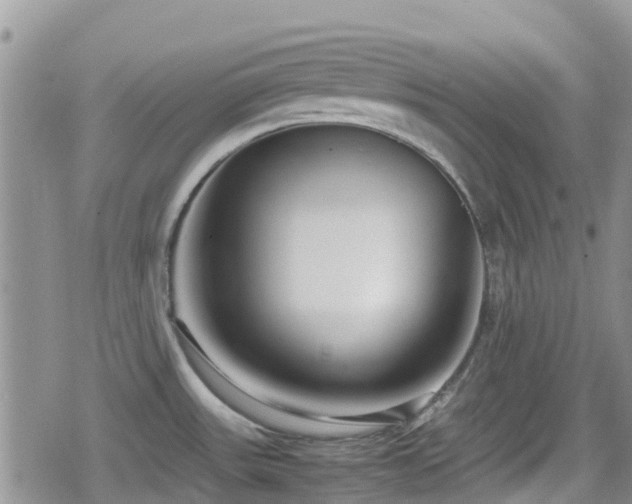 X0000080121531200612081239