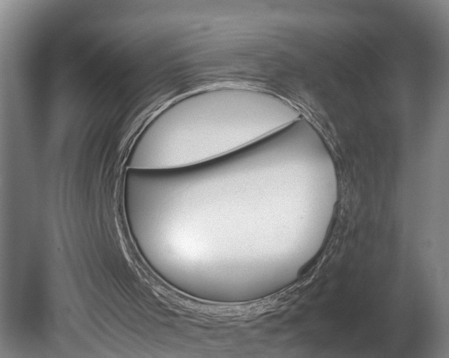 X0000080120001200612151725