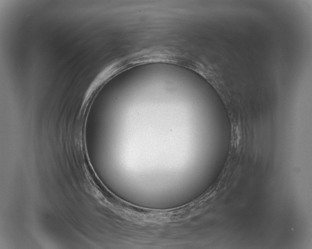 X0000080120004200612151724