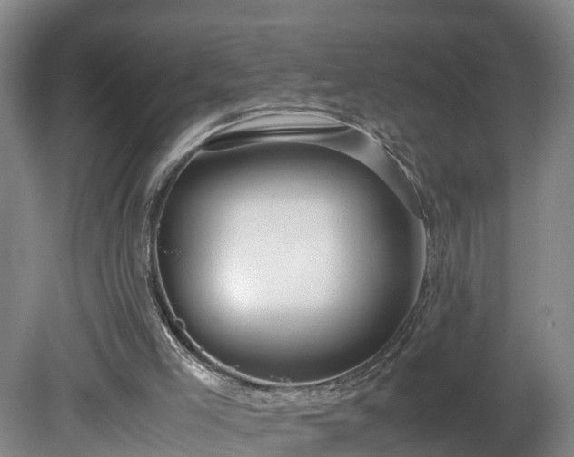 X0000080120005200612151724