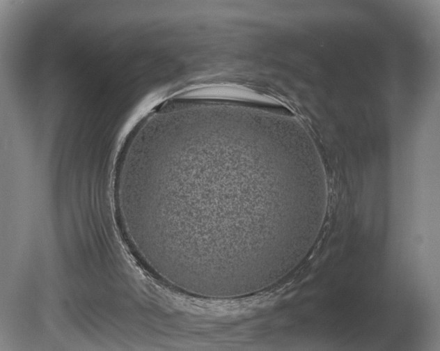X0000080120006200612151724