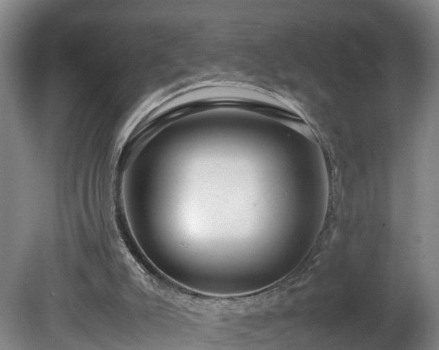 X0000080120007200612151724
