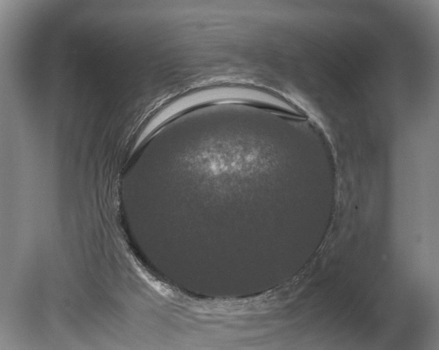 X0000080120009200612151724