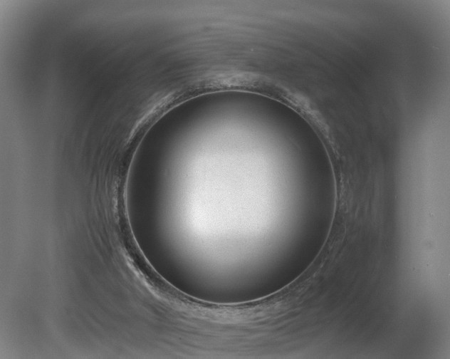 X0000080120010200612151724