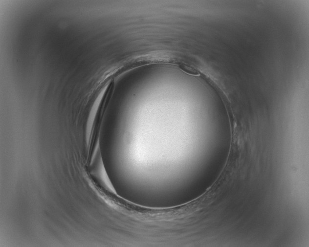 X0000080120013200612151724