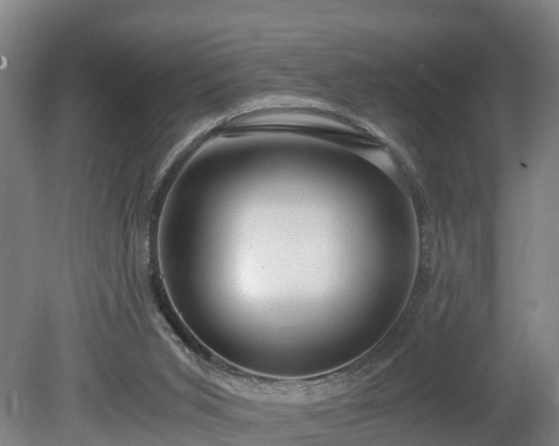 X0000080120015200612151724