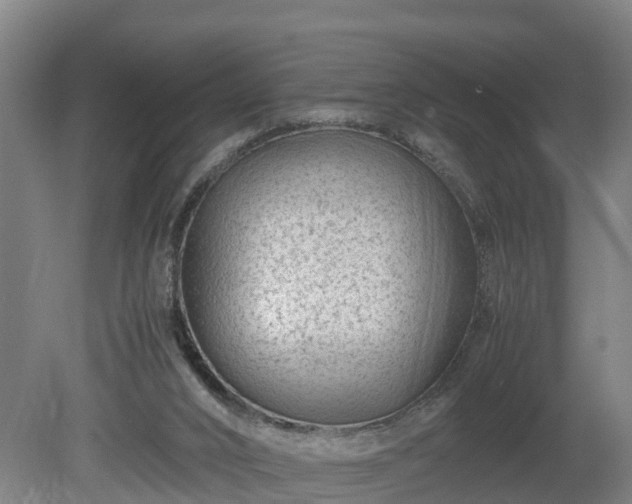 X0000080120016200612151724