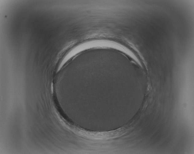 X0000080120019200612151724