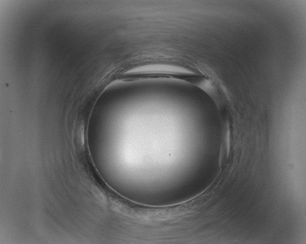 X0000080120021200612151724