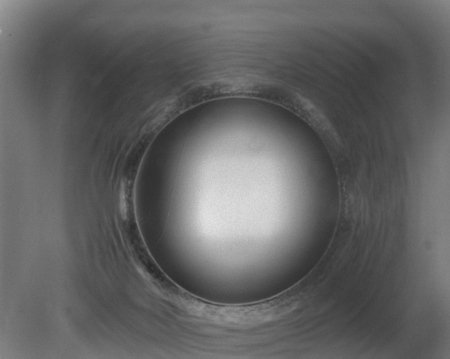 X0000080120026200612151724