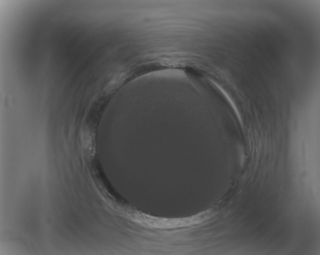 X0000080120031200612151724