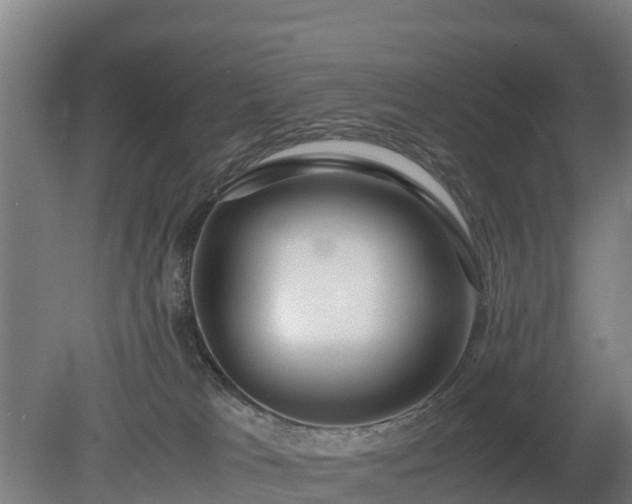 X0000080120037200612151724