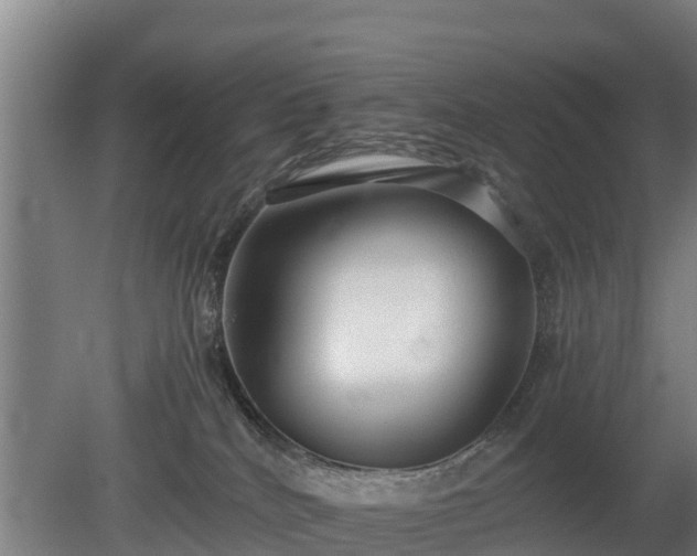 X0000080120040200612151724
